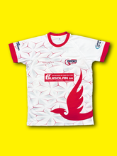 Load image into Gallery viewer, 2020 - 2022 Phoenix Broye DC Jersey #17 BEAUD