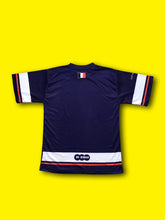Load image into Gallery viewer, 2016 - 2018 France Jersey
